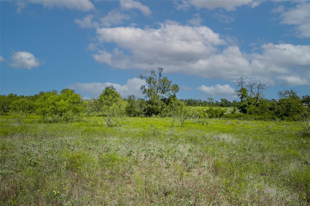 Tract 3 County Road 328, Caldwell, Texas image 27