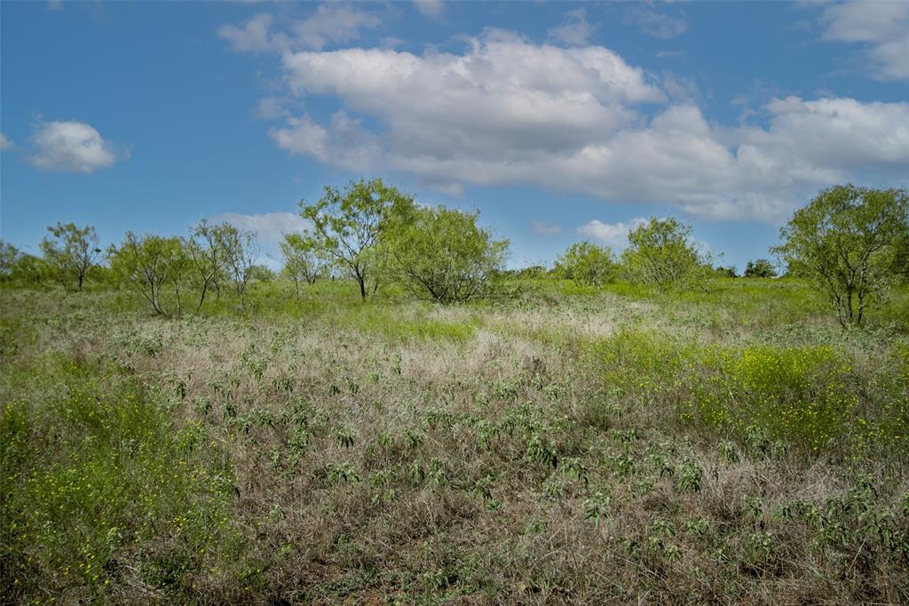 Tract 3 County Road 328, Caldwell, Texas image 28