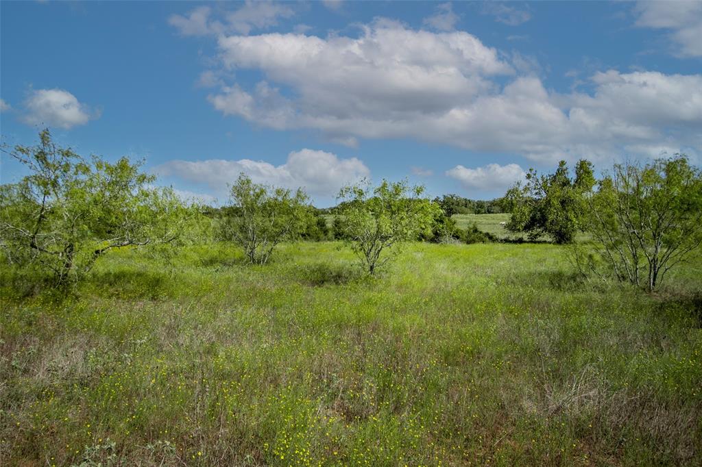 Tract 3 County Road 328, Caldwell, Texas image 30