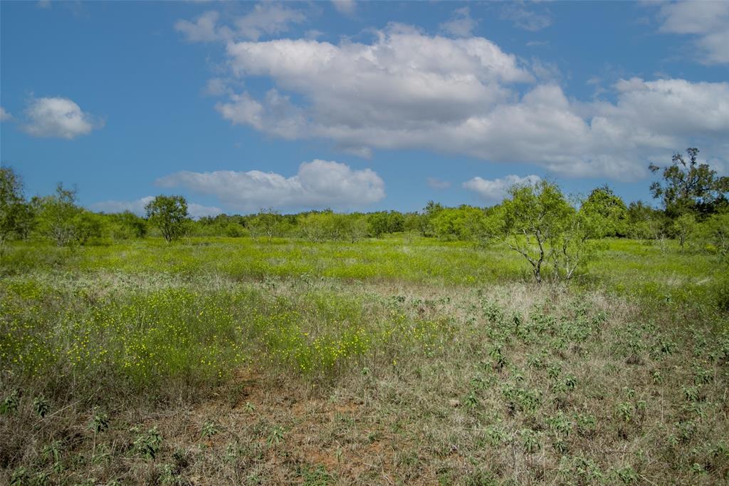 Tract 3 County Road 328, Caldwell, Texas image 29