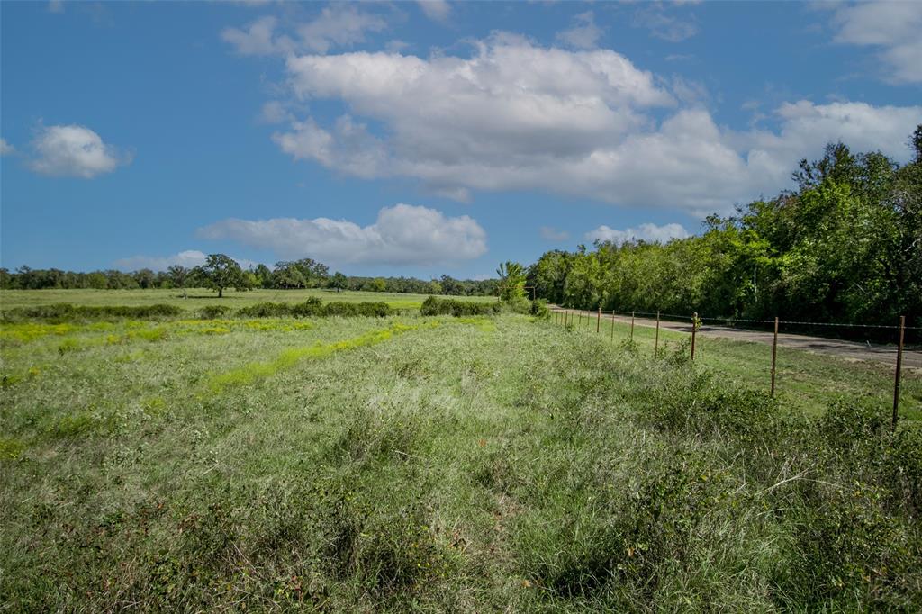 Tract 3 County Road 328, Caldwell, Texas image 7