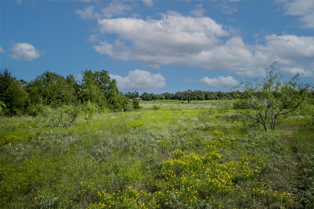 Tract 3 County Road 328, Caldwell, Texas image 14