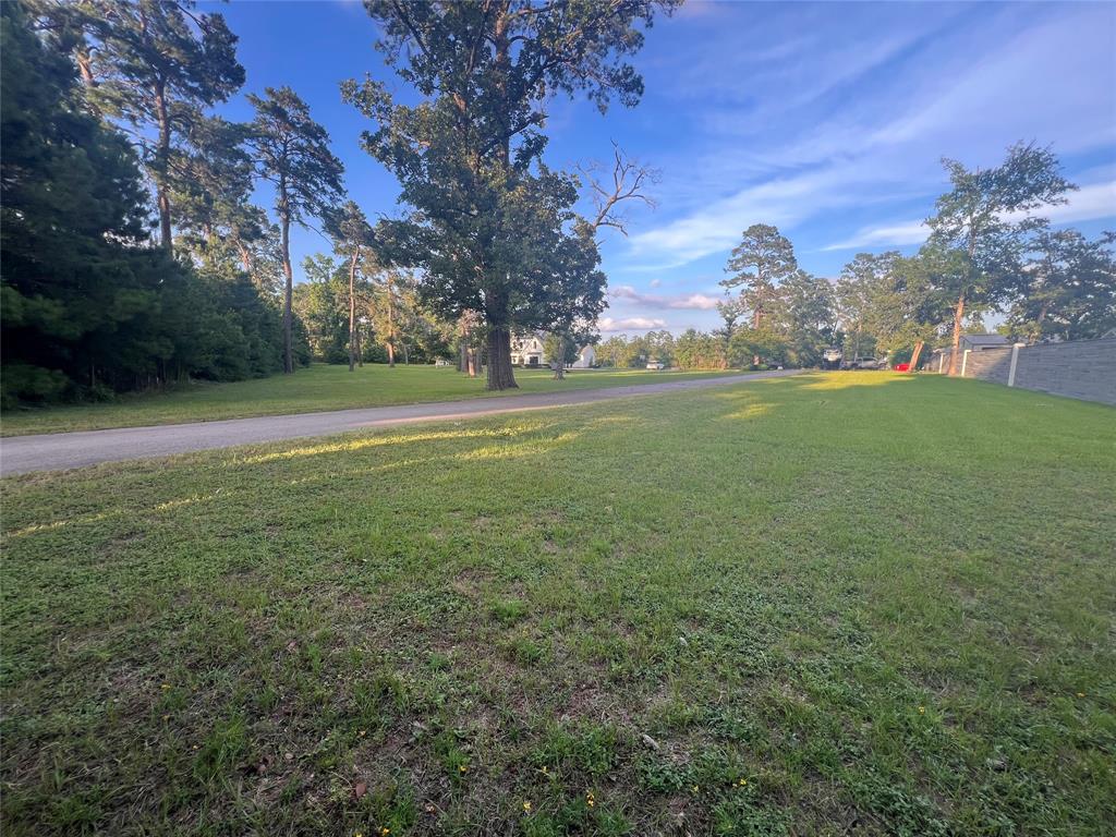 40498 Community Road, Magnolia, Texas image 38