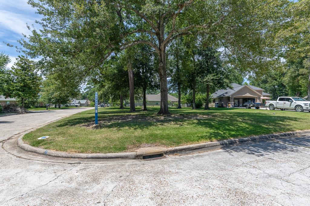 14798 Crater Drive, Willis, Texas image 12