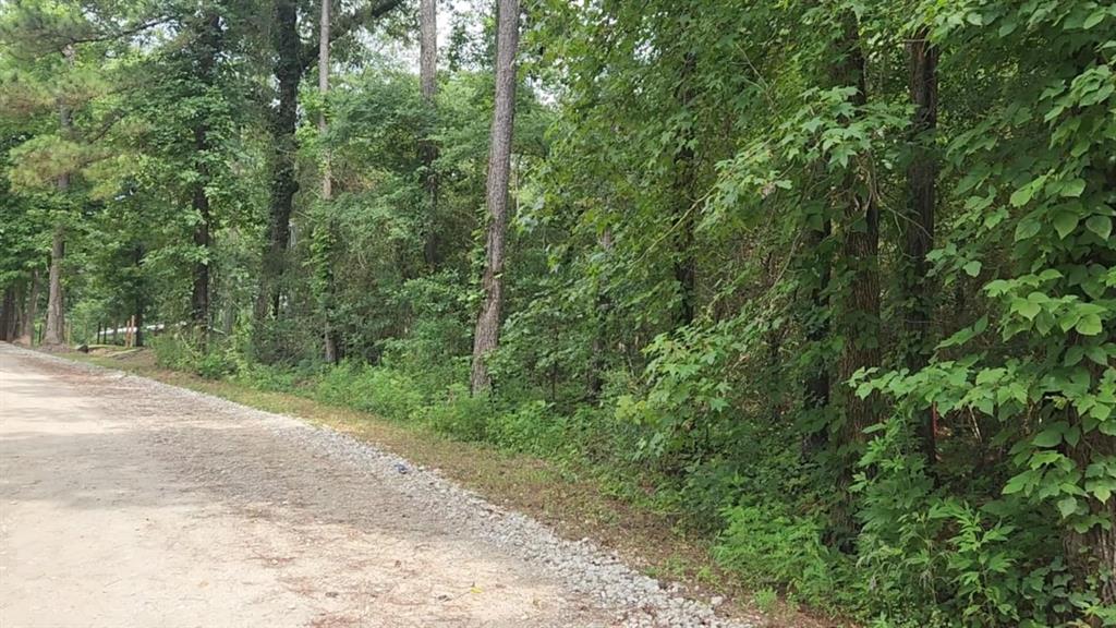 Lot 1 Pin Oak Drive