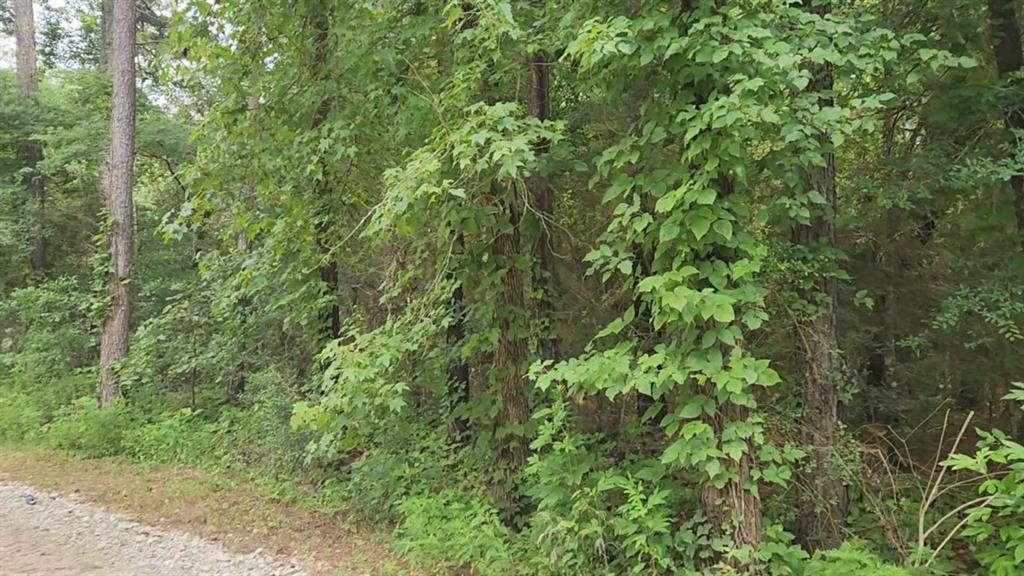 Lot 1 Pin Oak Drive