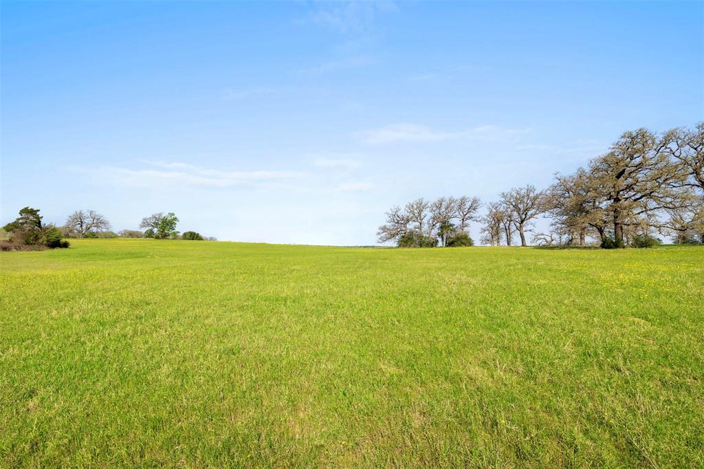 000 Cr 322, Lexington, Texas image 6