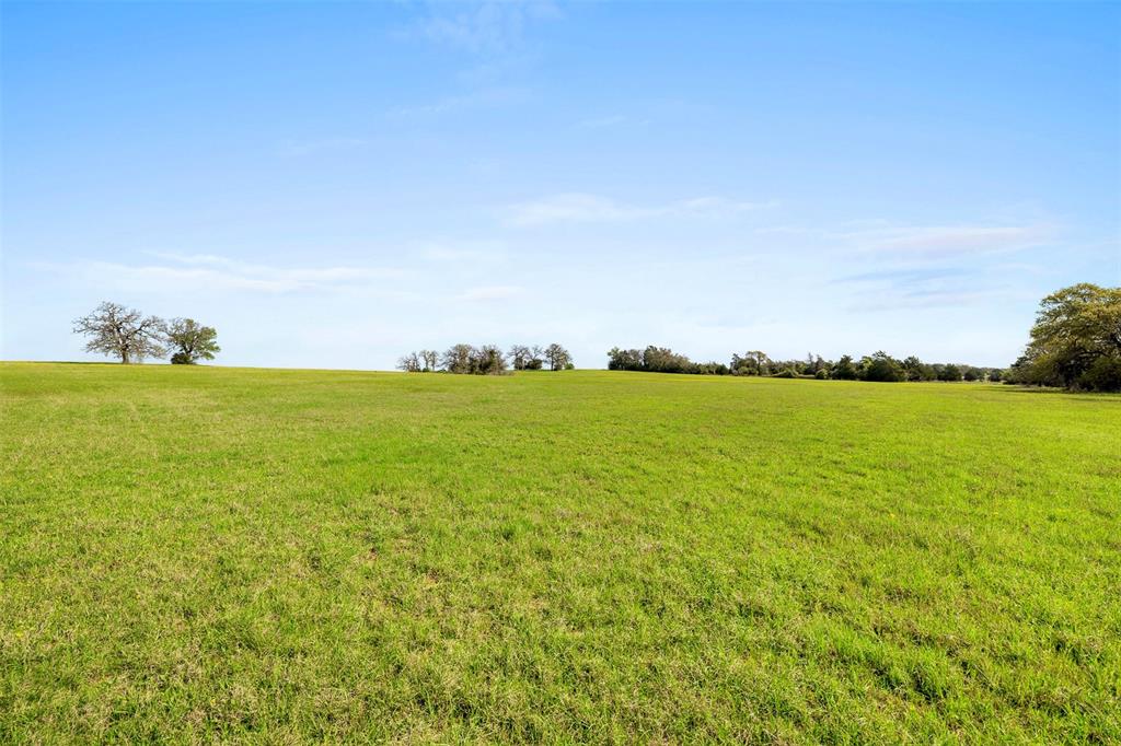 000 Cr 322, Lexington, Texas image 7