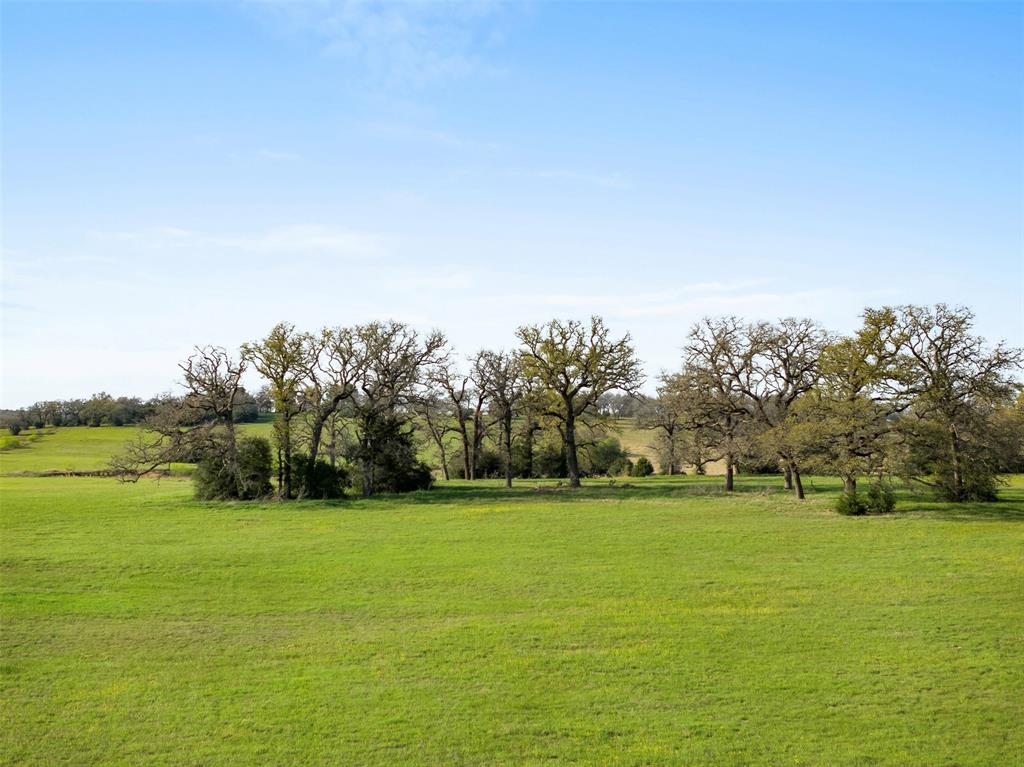 000 Cr 322, Lexington, Texas image 3