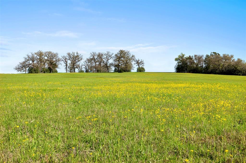 000 Cr 322, Lexington, Texas image 1