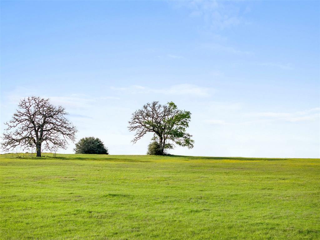 000 Cr 322, Lexington, Texas image 10