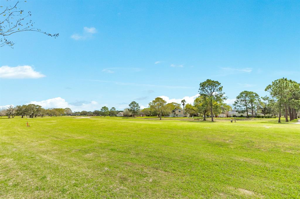 541 Green Meadows Drive, West Columbia, Texas image 36