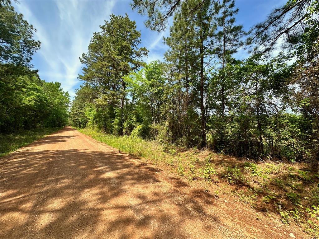 1280 Cr 1115, Crockett, Texas image 39