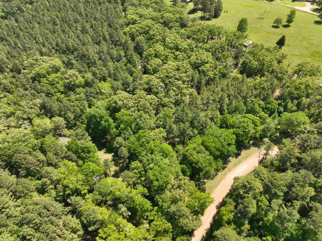 1280 Cr 1115, Crockett, Texas image 16