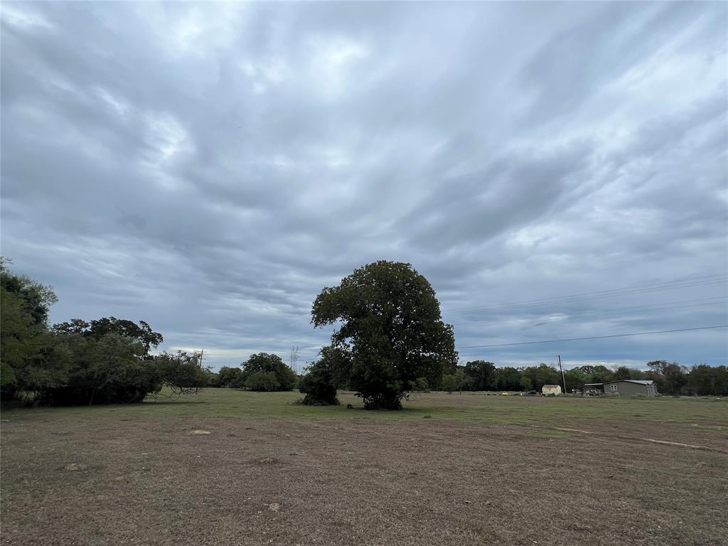 Lot 5 County Road 166, Iola, Texas image 4