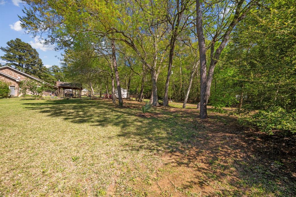 1183 Oak Lane, Montgomery, Texas image 4