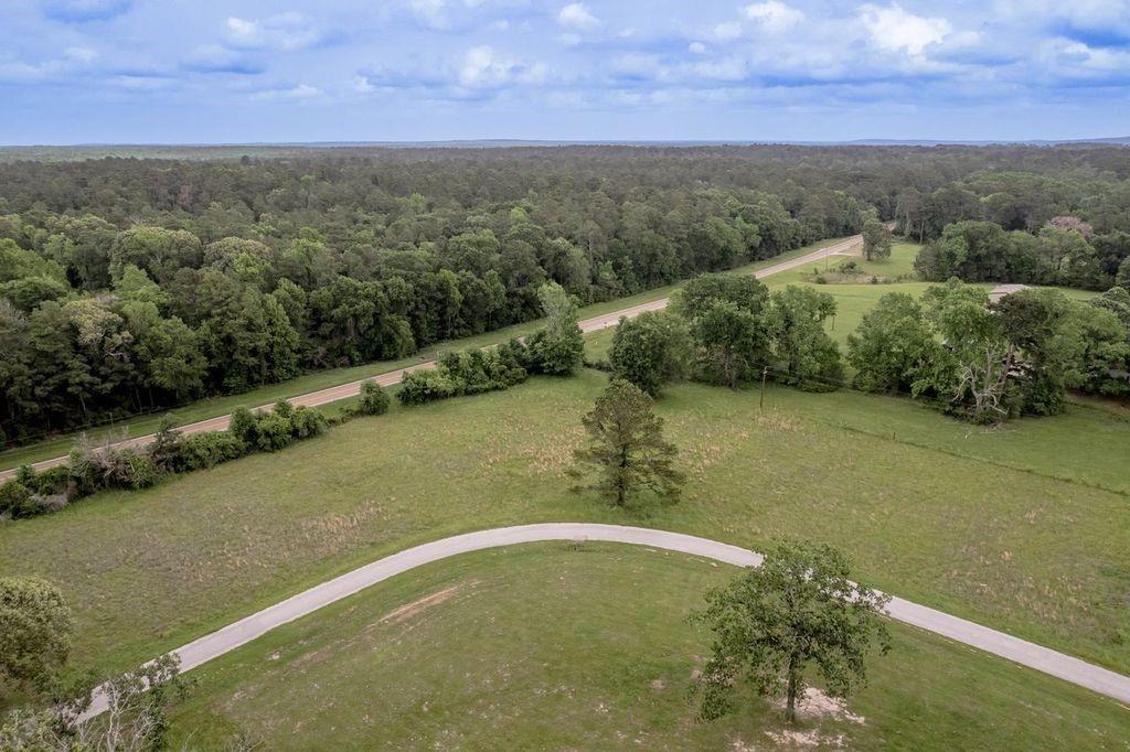 Peach Island Road, Trinity, Texas image 3