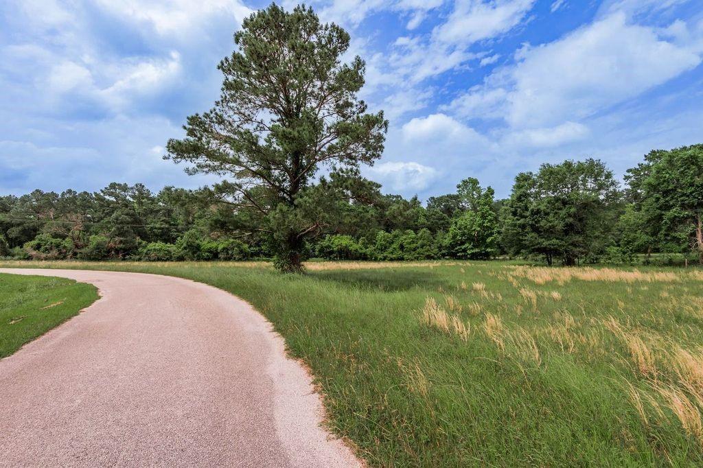 Peach Island Road, Trinity, Texas image 6