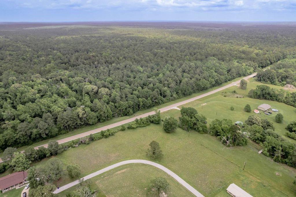 Peach Island Road, Trinity, Texas image 5