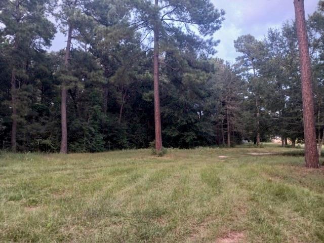 24140 Grand Pines Rd Road, Magnolia, Texas image 2