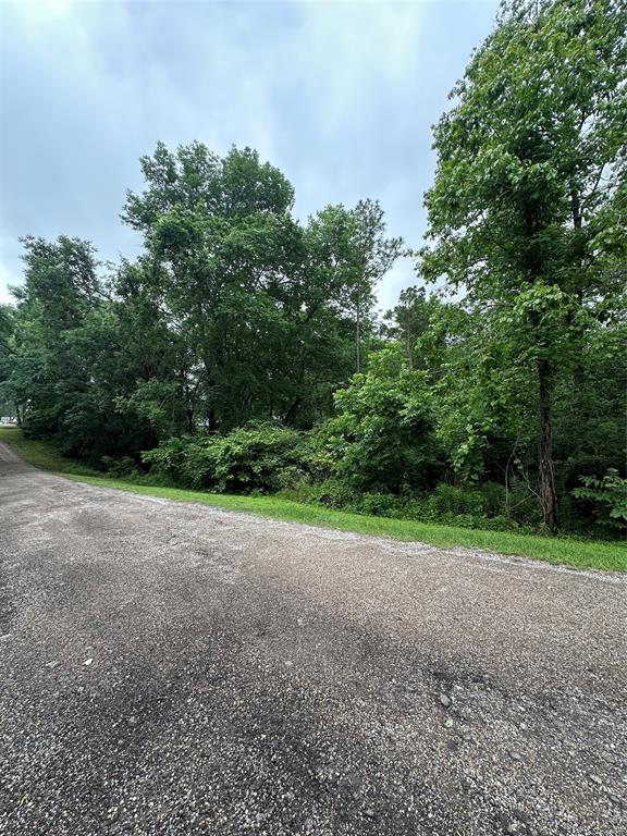 TBD Lot #32 Whippoorwill Lane, Point Blank, Texas image 3