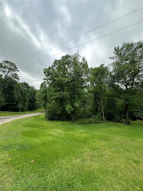 TBD Lot #32 Whippoorwill Lane, Point Blank, Texas image 1
