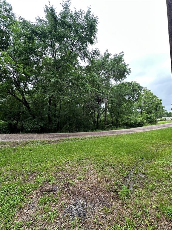 TBD Lot #32 Whippoorwill Lane, Point Blank, Texas image 6