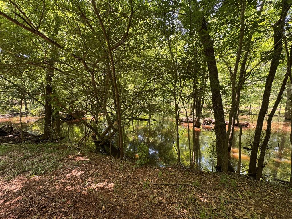 1546 County Road 2214, Rusk, Texas image 31