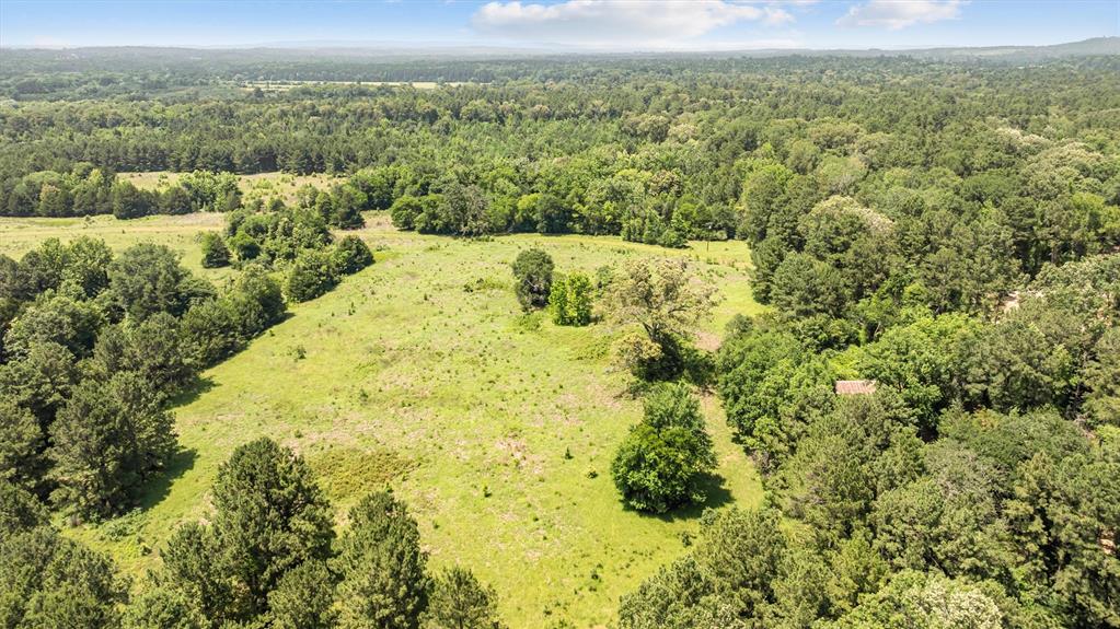 1546 County Road 2214, Rusk, Texas image 19