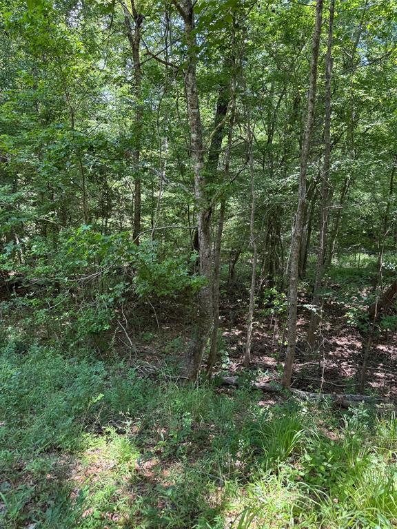 1546 County Road 2214, Rusk, Texas image 27