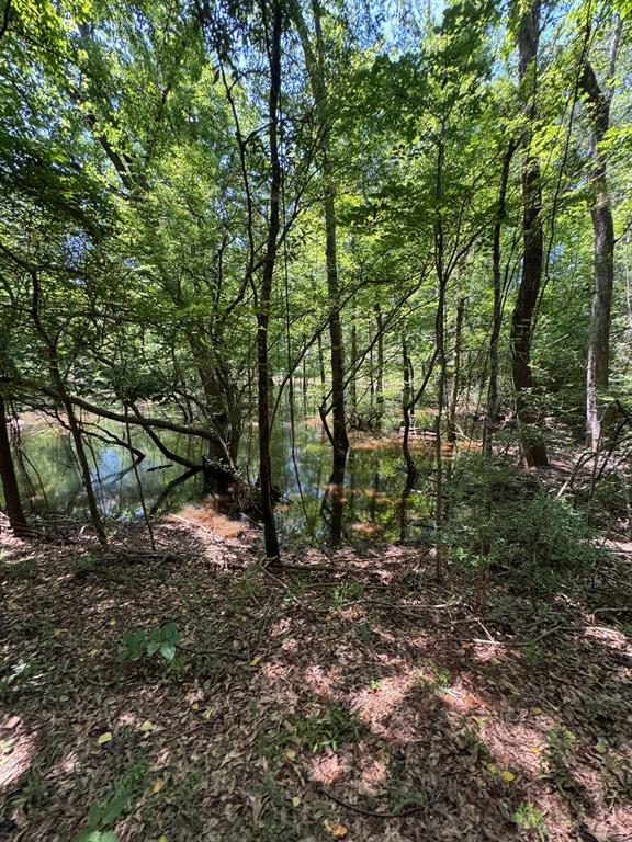 1546 County Road 2214, Rusk, Texas image 32