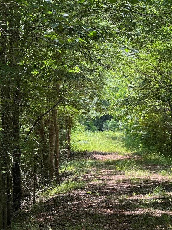 1546 County Road 2214, Rusk, Texas image 29