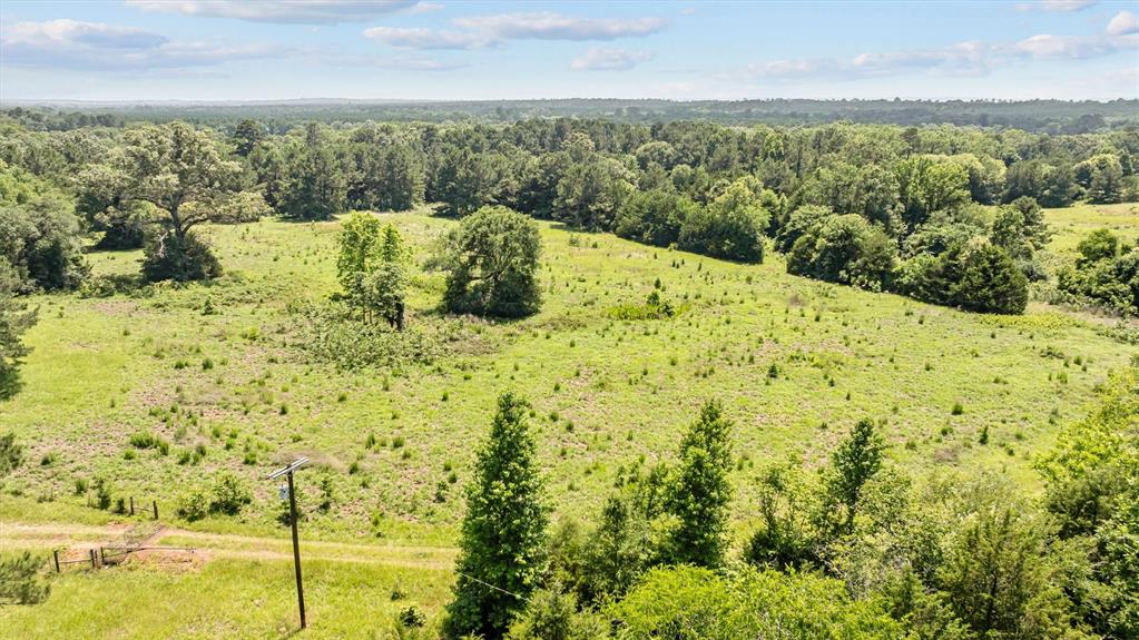 1546 County Road 2214, Rusk, Texas image 8