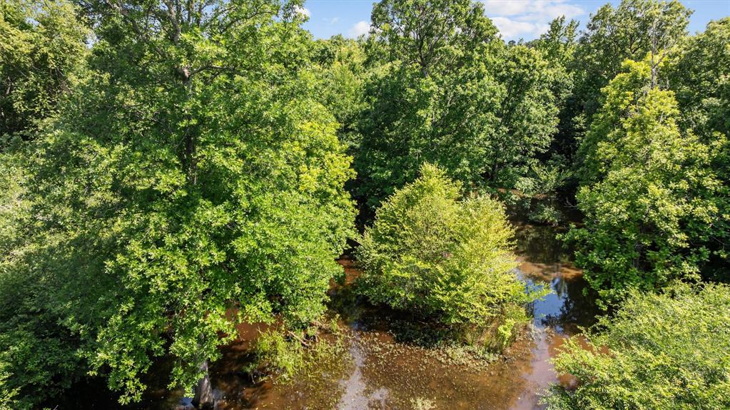 1546 County Road 2214, Rusk, Texas image 2