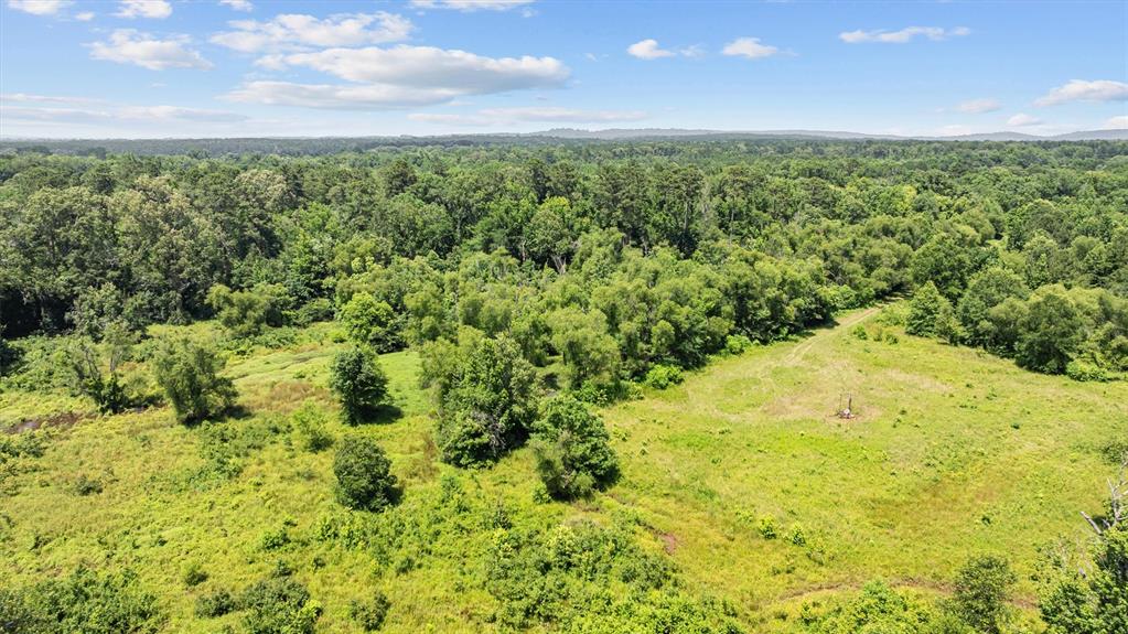 1546 County Road 2214, Rusk, Texas image 12