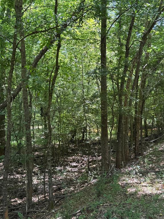 1546 County Road 2214, Rusk, Texas image 28