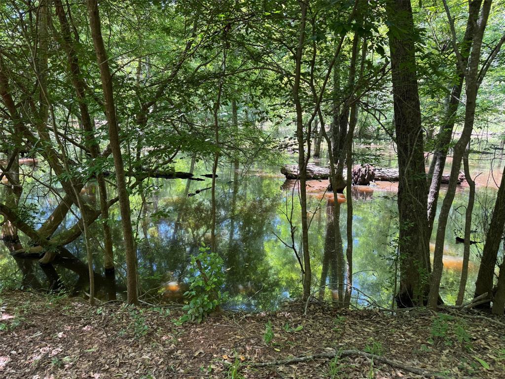 1546 County Road 2214, Rusk, Texas image 3