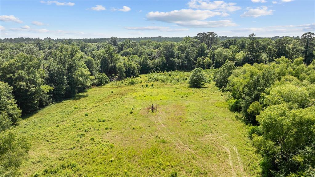 1546 County Road 2214, Rusk, Texas image 22