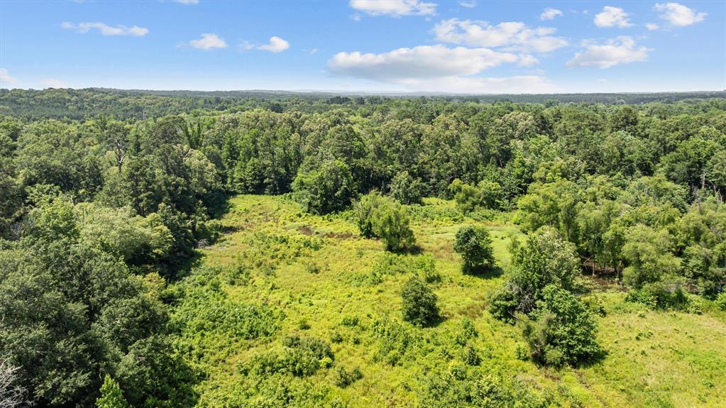 1546 County Road 2214, Rusk, Texas image 15