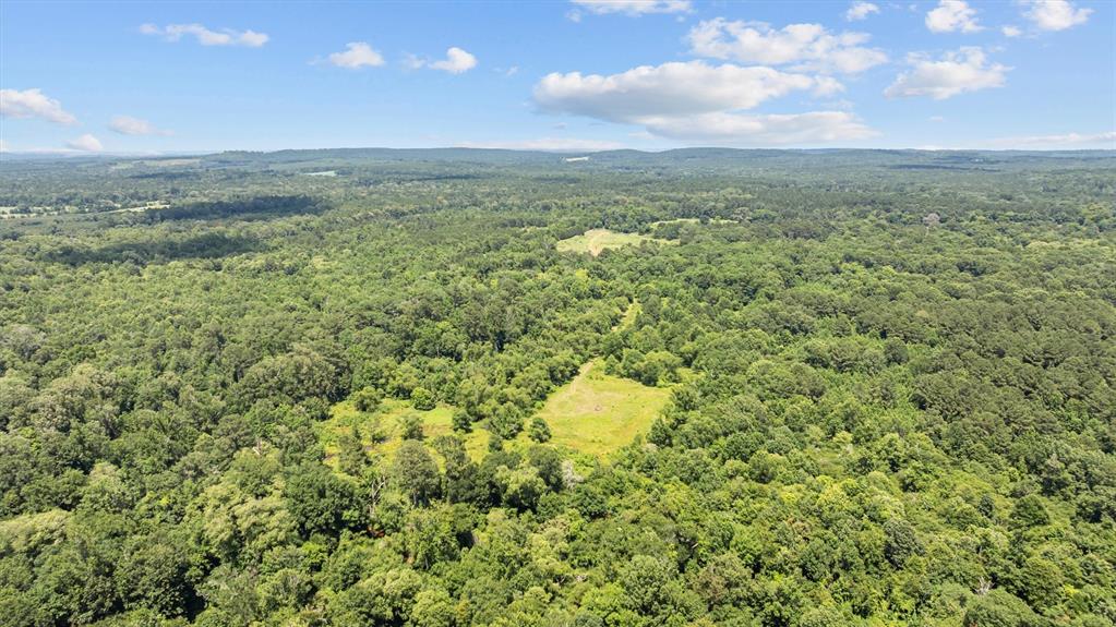 1546 County Road 2214, Rusk, Texas image 17