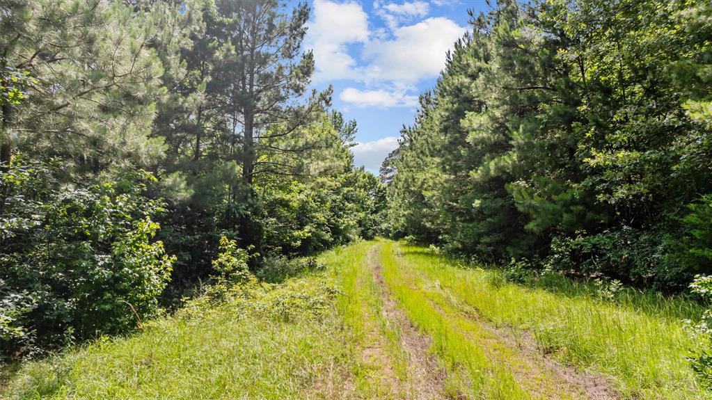 1546 County Road 2214, Rusk, Texas image 13