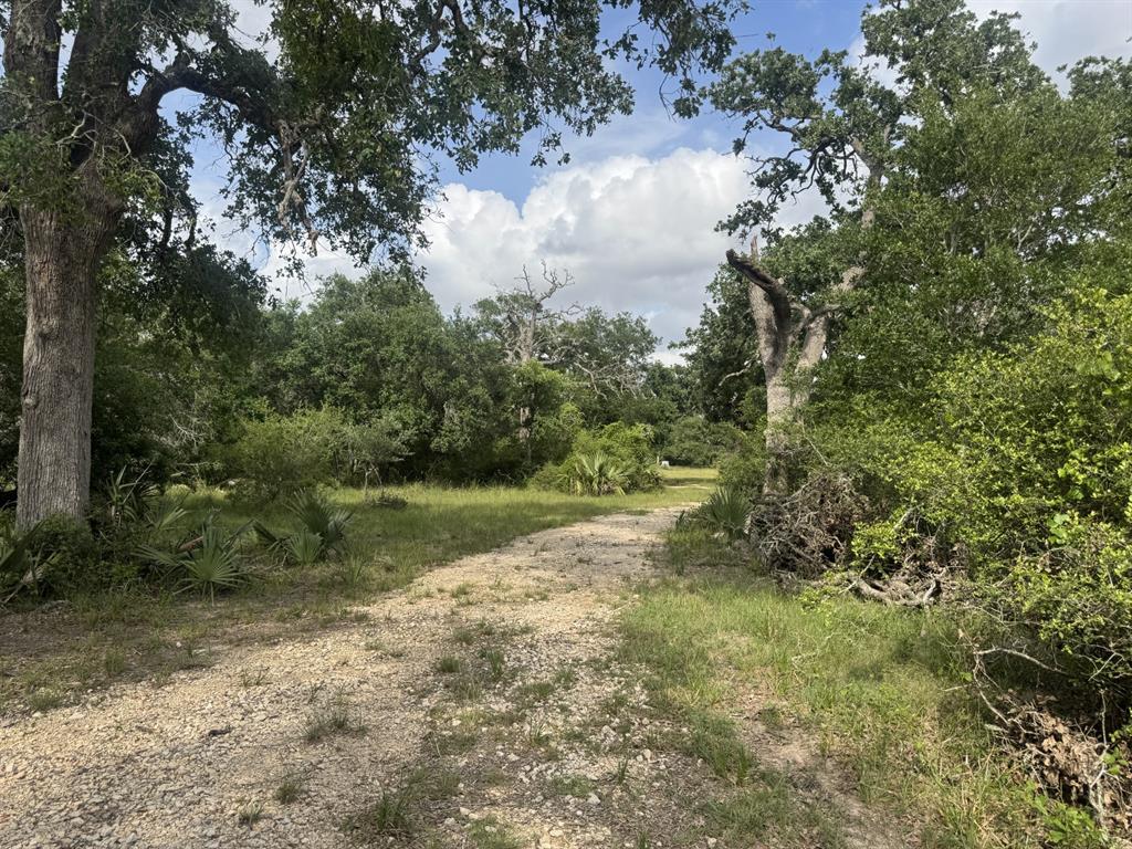 4680 County Road 319 Rd, Louise, Texas image 50