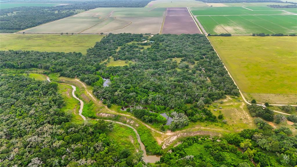 4680 County Road 319 Rd, Louise, Texas image 5