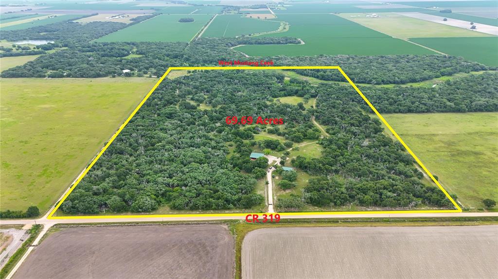 4680 County Road 319 Rd, Louise, Texas image 3