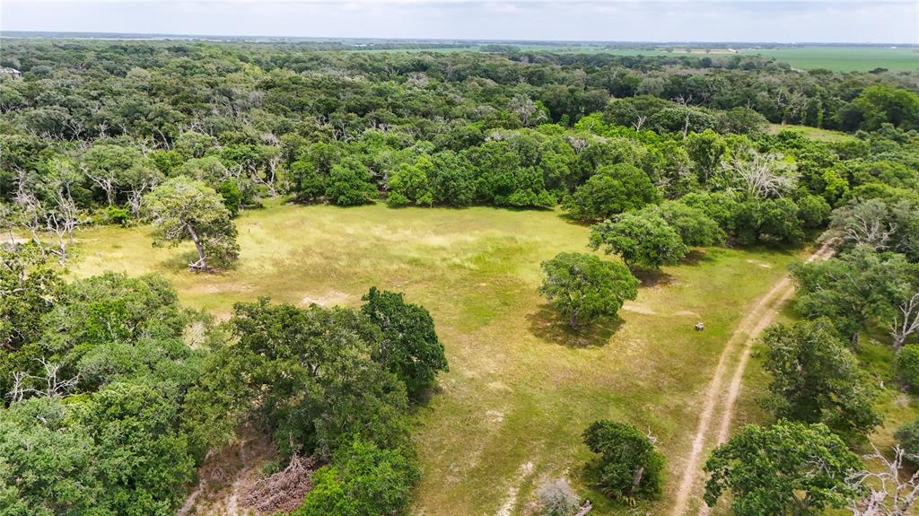 4680 County Road 319 Rd, Louise, Texas image 11