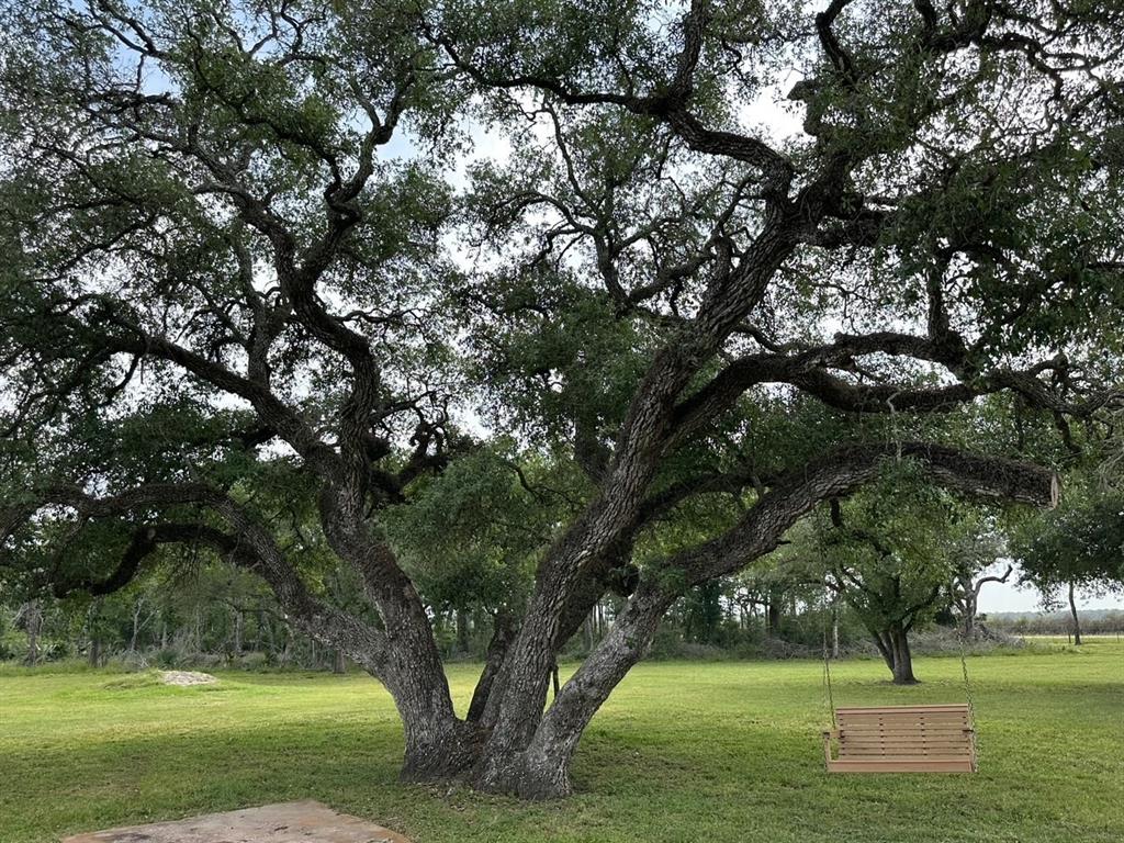 4680 County Road 319 Rd, Louise, Texas image 42