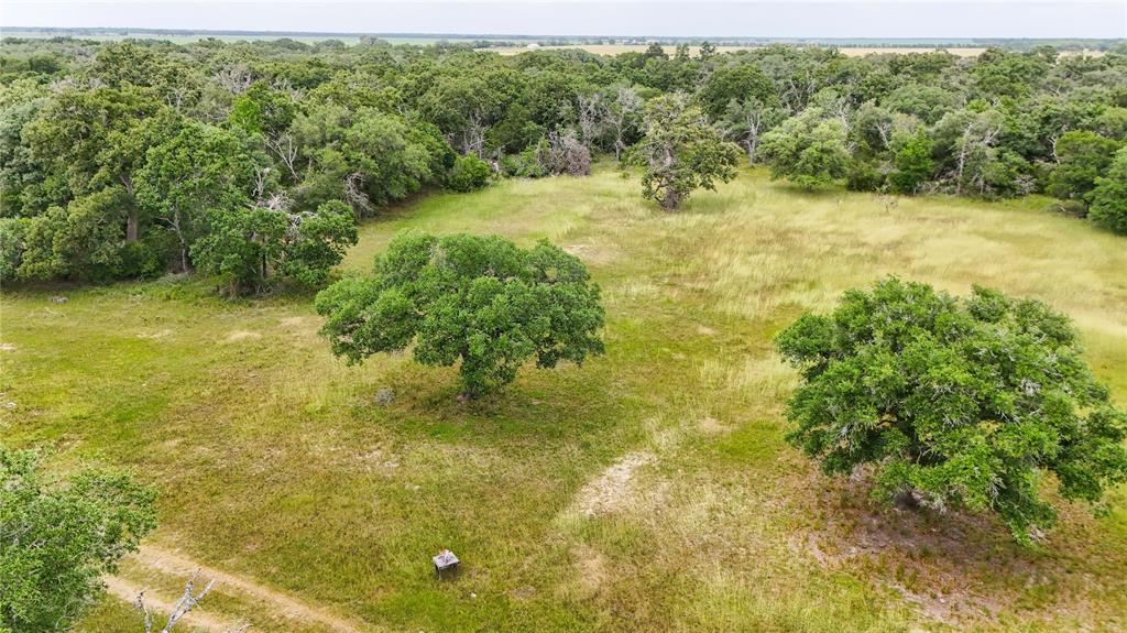 4680 County Road 319 Rd, Louise, Texas image 12