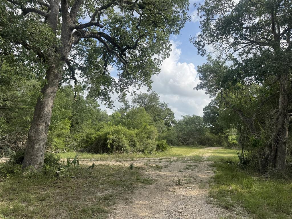 4680 County Road 319 Rd, Louise, Texas image 49