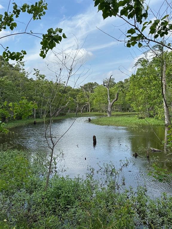 4680 County Road 319 Rd, Louise, Texas image 21