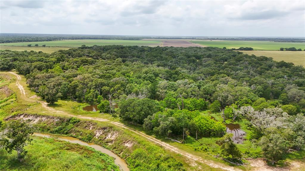 4680 County Road 319 Rd, Louise, Texas image 17